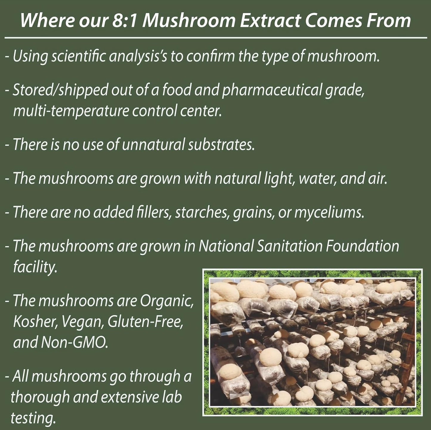 PWR Nutra Lion’s Mane Mushroom Gummies - Heart, Immunity, Brain Support - Vegan, Sugar-free, Gluten-free - 30 Servings