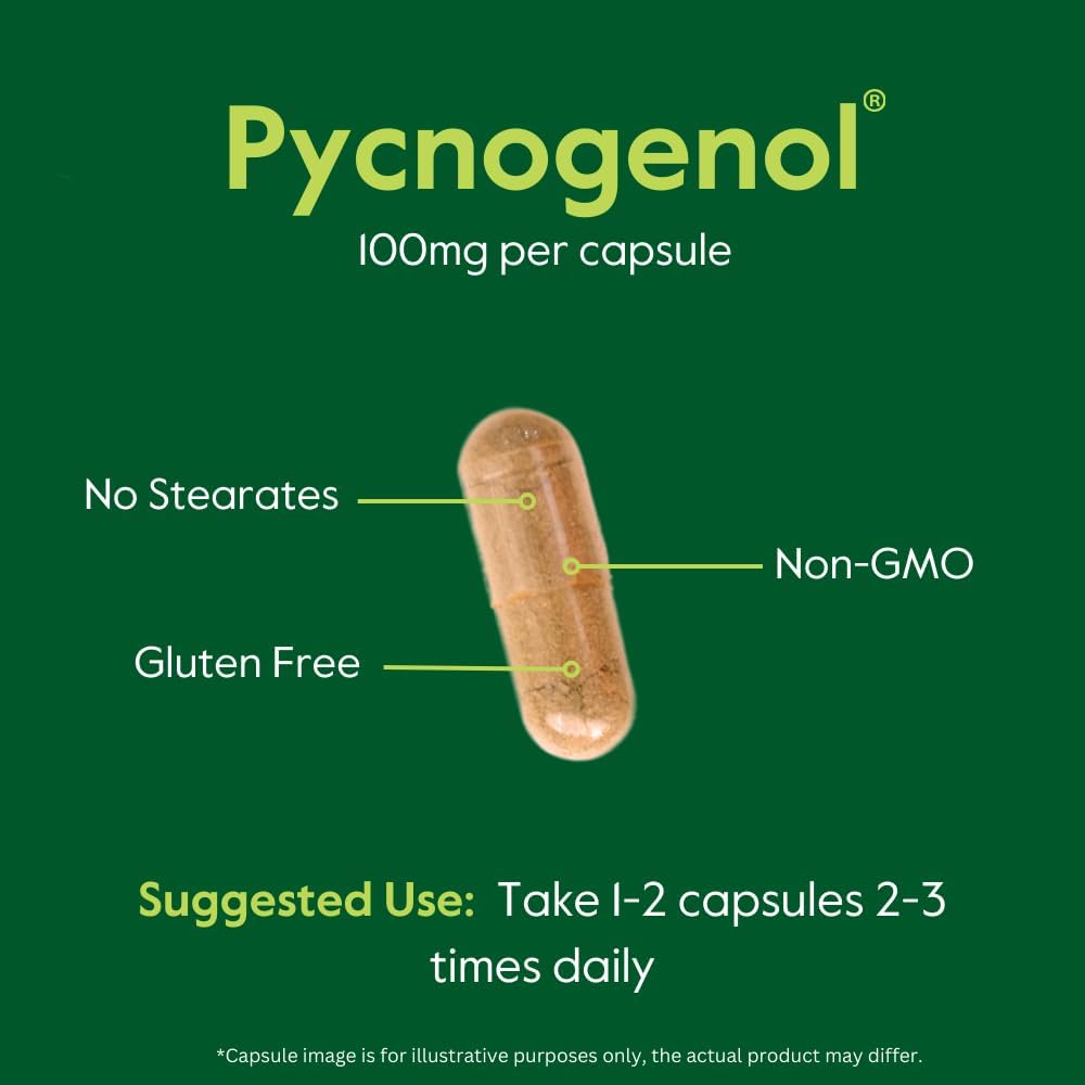 Pycnogenol 100mg Capsules - French Maritime Pine Bark Extract - Gluten Free & Non GMO - 60 Count