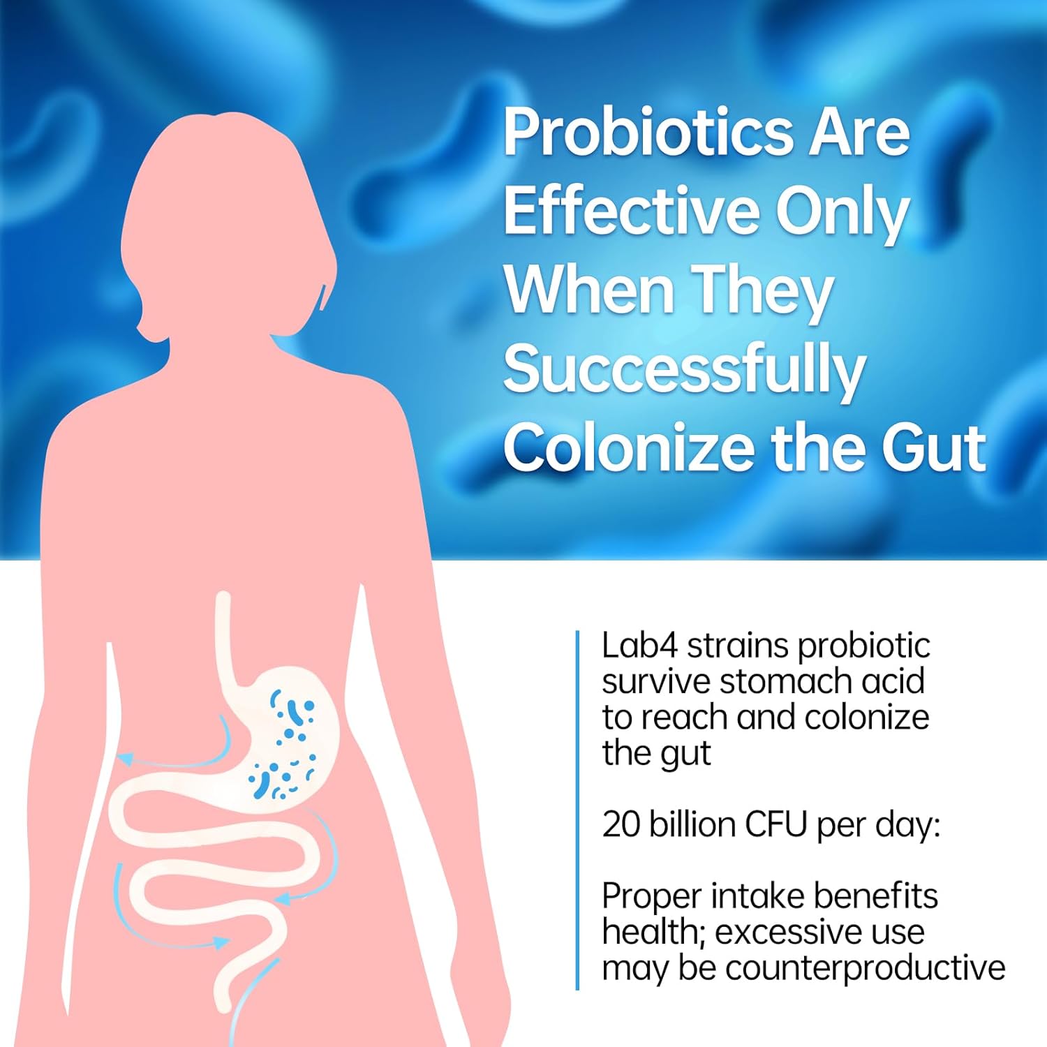 Pylopass Probiotic for H. Pylori Treatment and Acidophilus Probiotics for Digestive and Immune Health - purmeo