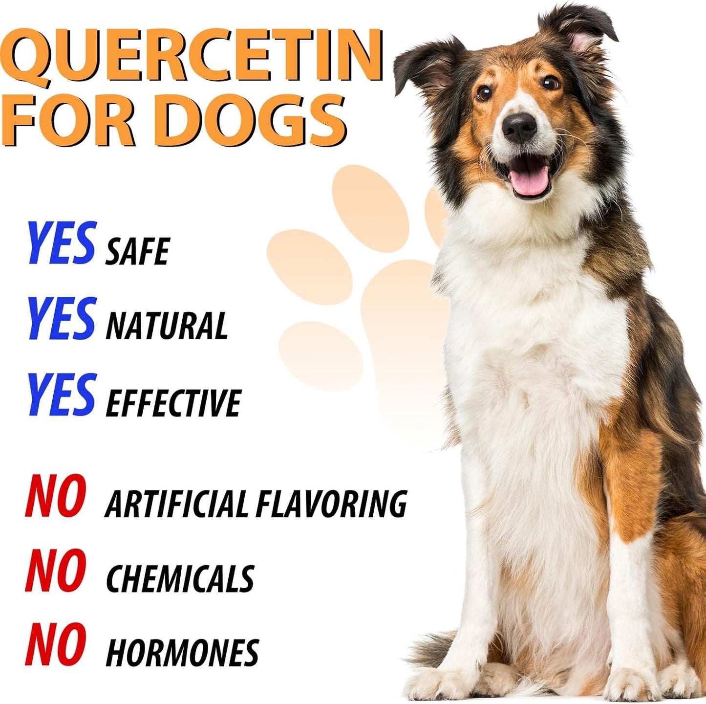 Quercetin Supplement with Vitamin C for Dogs | Allergy Relief & Immune Support for Dogs | Anti-Itch Formula for Pets