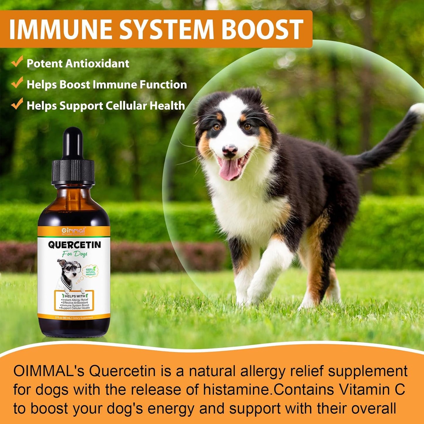 Quercetin Supplement with Vitamin C for Dogs | Allergy Relief & Immune Support for Dogs | Anti-Itch Formula for Pets