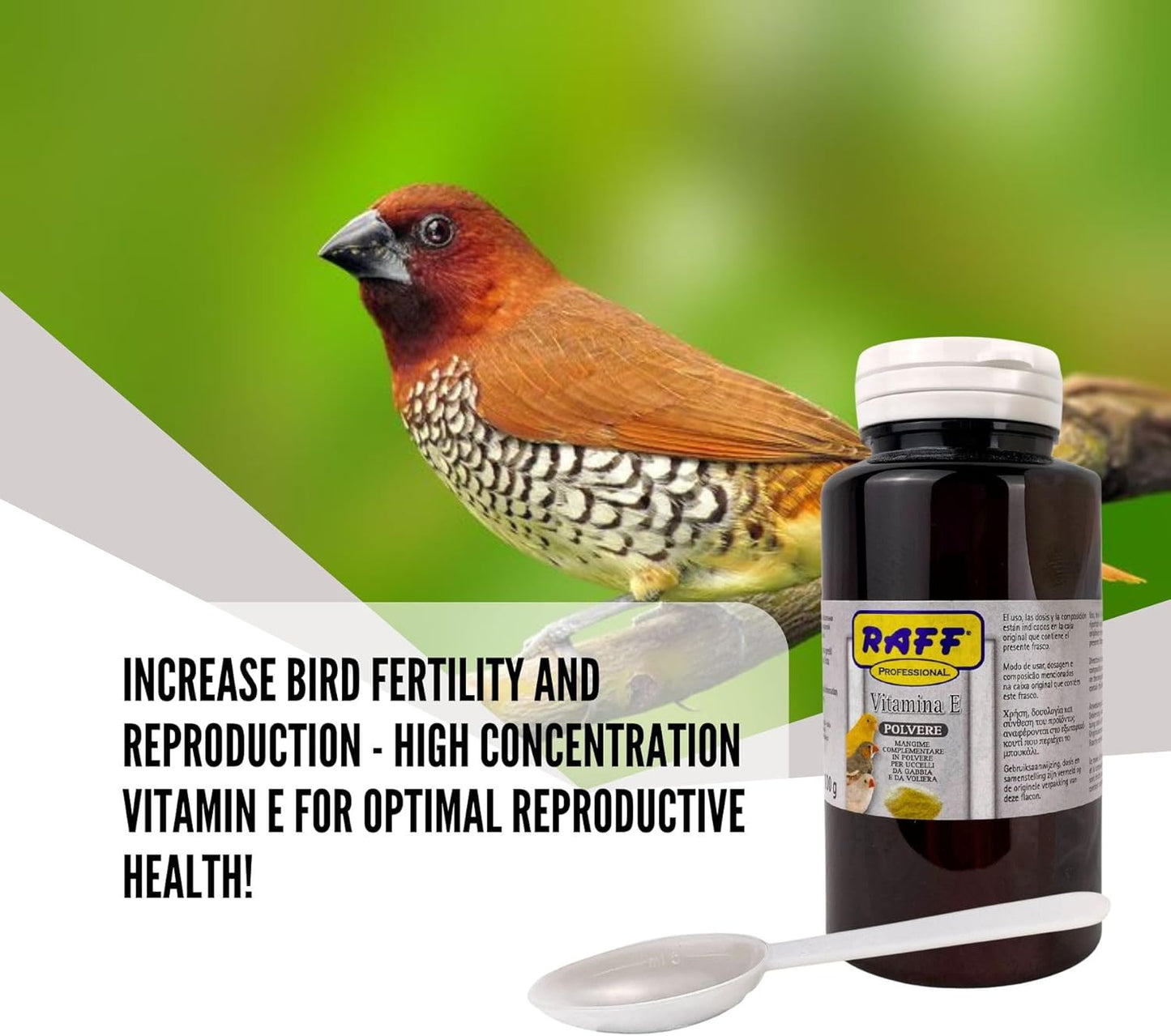 Raff Vitamin-E Powder Supplement for Birds - Global Luxury Management Bird Supplements for Avian Health - 100g