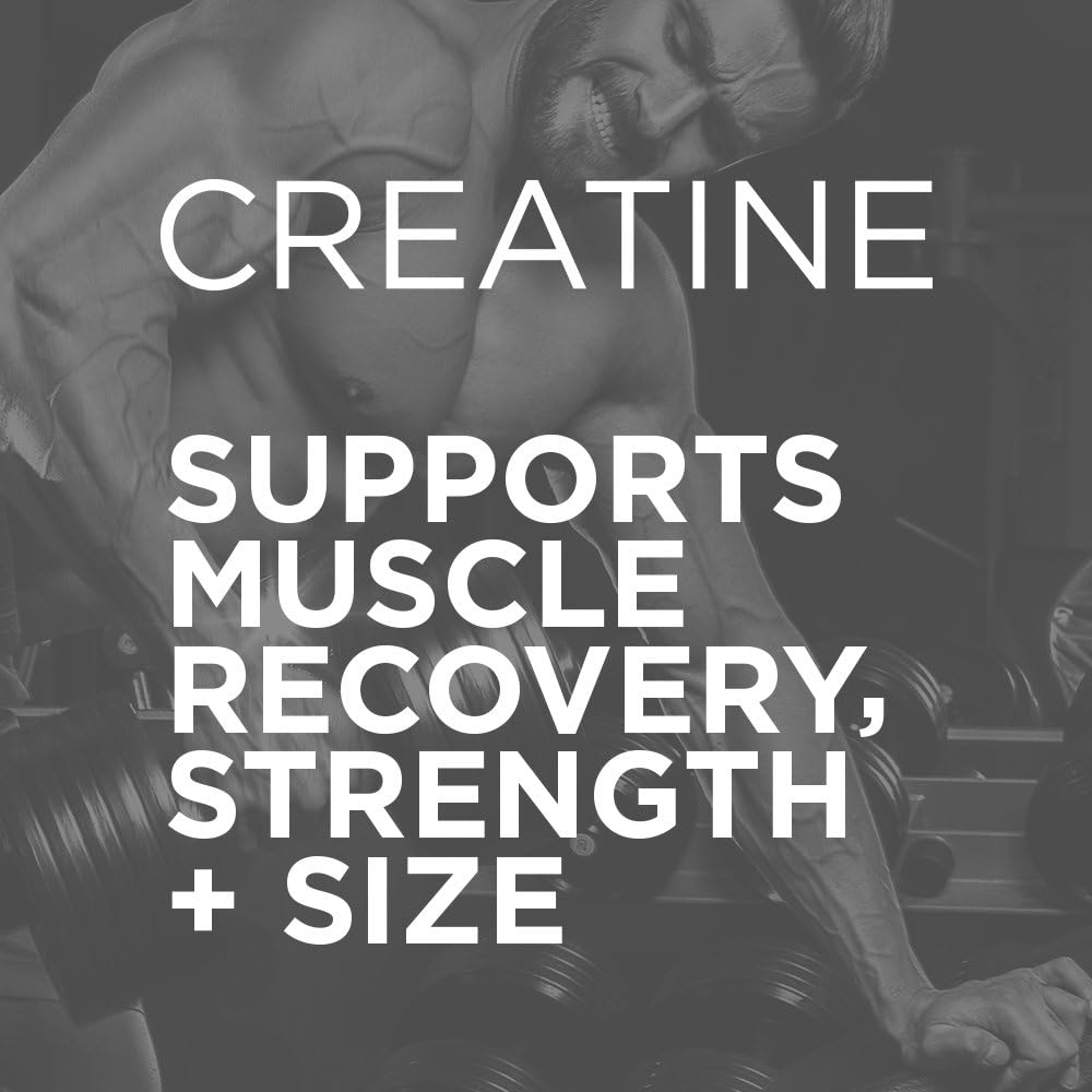 Rainbow Candy Creapure Creatine Powder - 5g Micronized Monohydrate for Recovery & Strength with 50 Servings