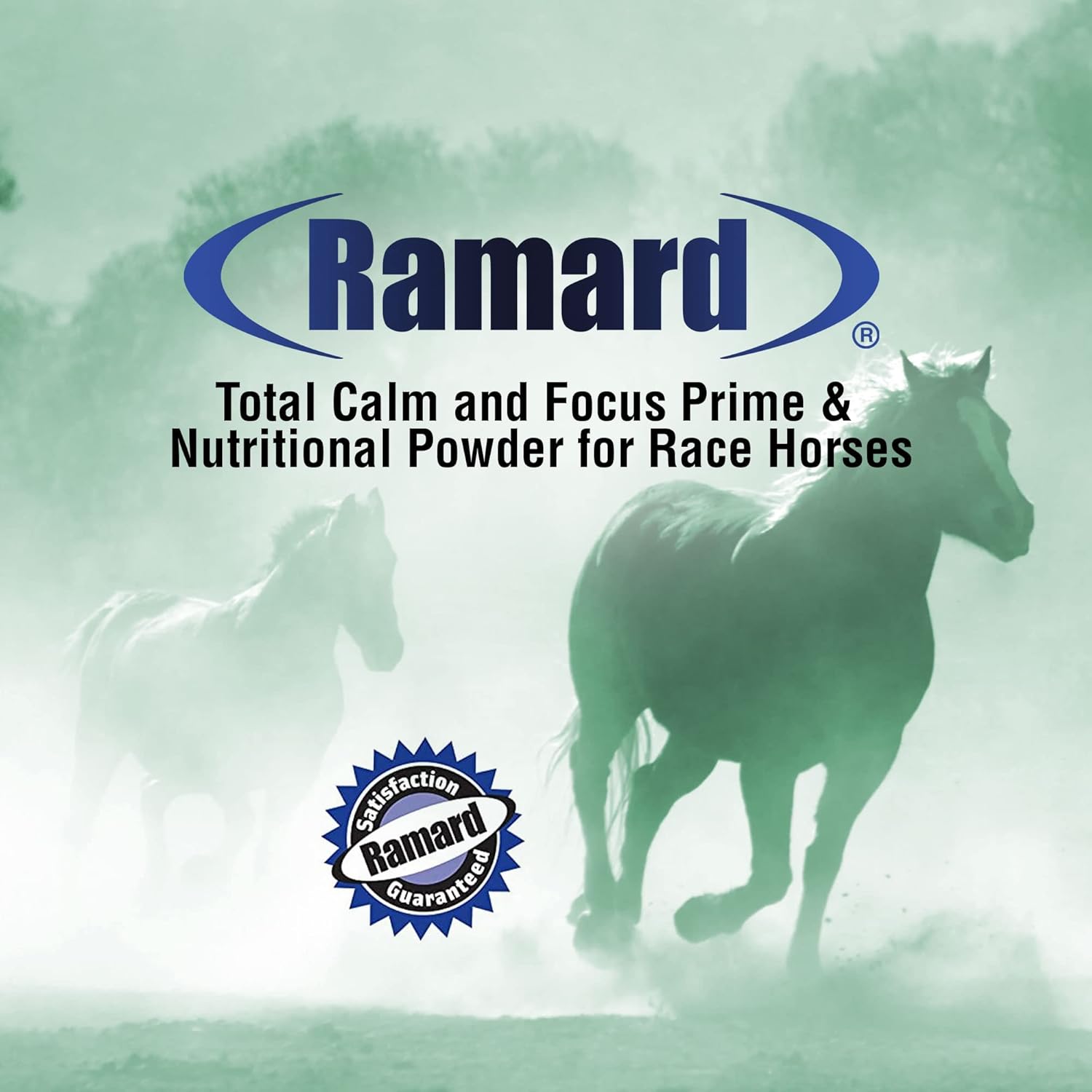 Ramard Total Calm and Focus Supplement for Horses - Magnesium & Calming Formula for Horse Show, Training, Performance - Mental Alertness, Drowsiness-Free, Show Safe - Perfect Prep - 1 Pack