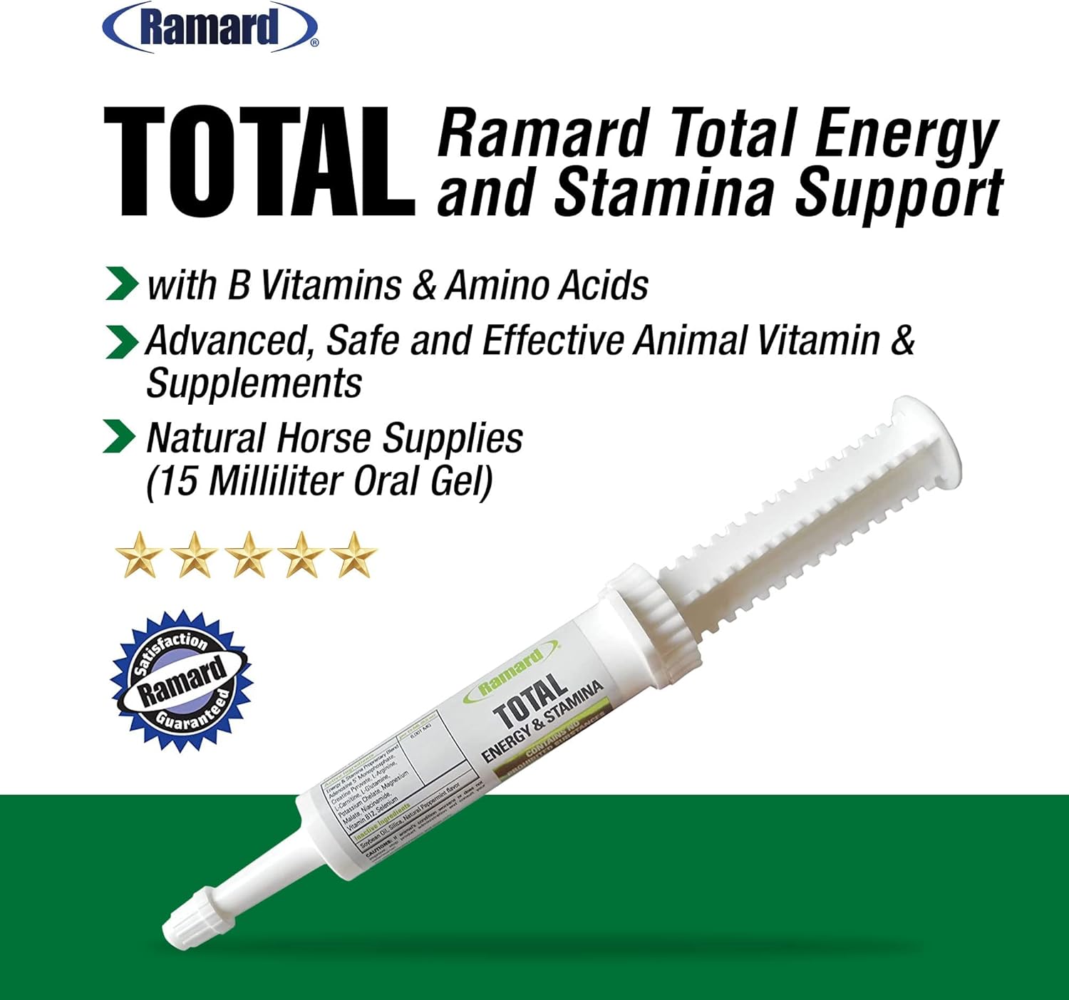 Ramard Total Energy and Stamina Support Gel with B Vitamins & Amino Acids - Boost Oxygen Capacity for Peak Performance - 15cc Syringe