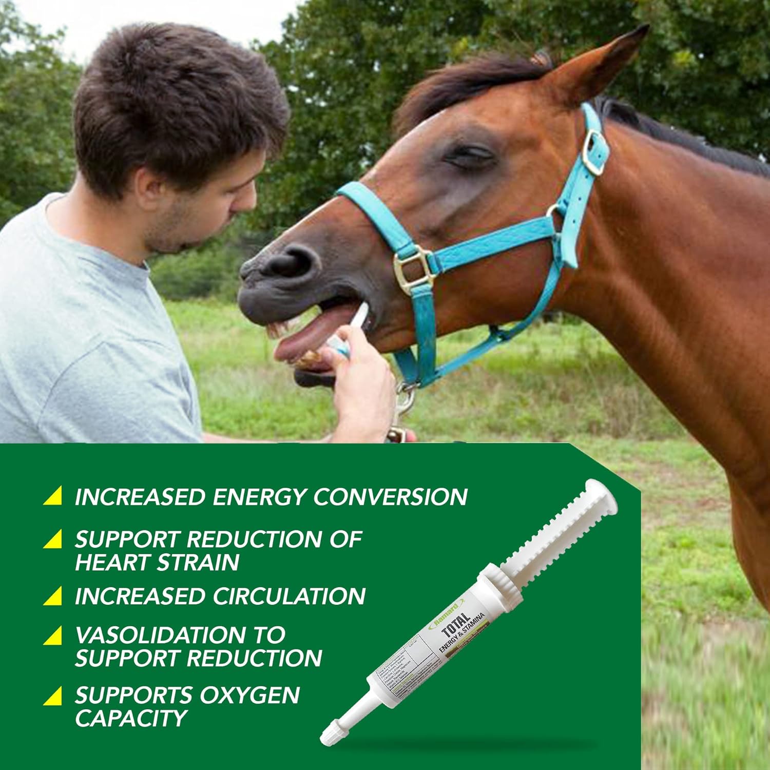 Ramard Total Energy and Stamina Support Gel with B Vitamins & Amino Acids - Boost Oxygen Capacity for Peak Performance - 15cc Syringe