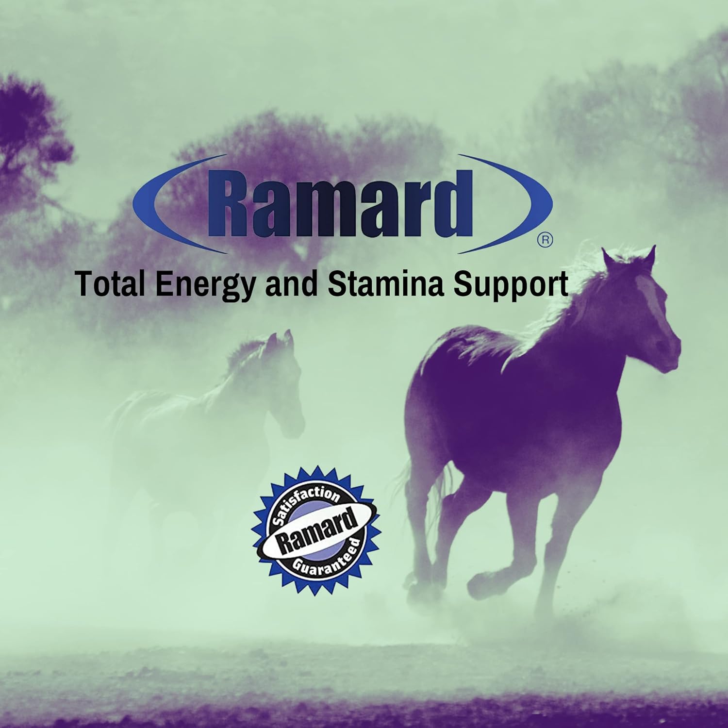 Ramard Total Energy and Stamina Support Gel with B Vitamins & Amino Acids - Boost Oxygen Capacity for Peak Performance - 15cc Syringe