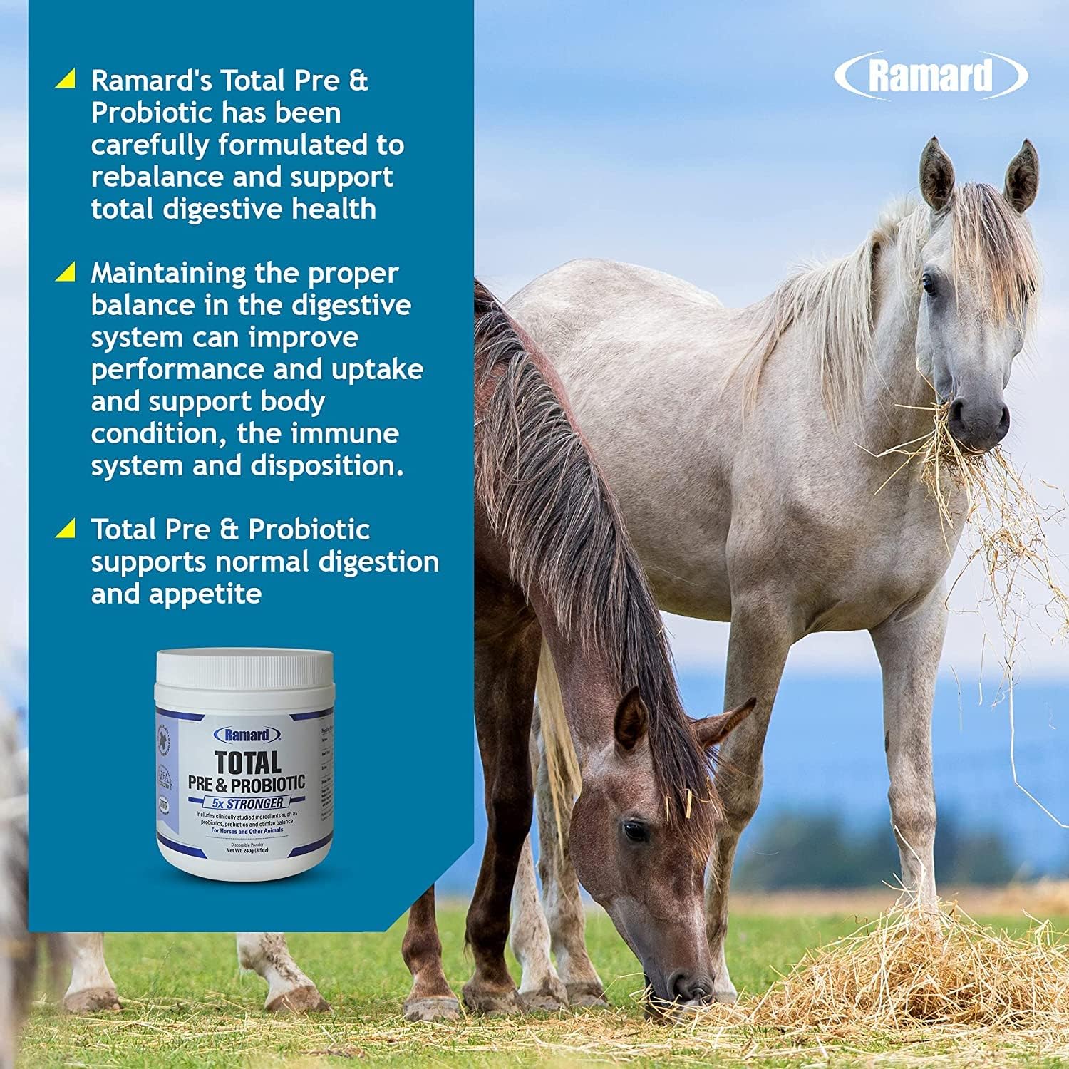 Ramard Total Prebiotic & Probiotic Equine Formula - Natural Digestive Supplement for Horses - 8.5 oz Jar - Promotes Optimal Gut Health and Nutrient Absorption for Foal Support and Livestocks
