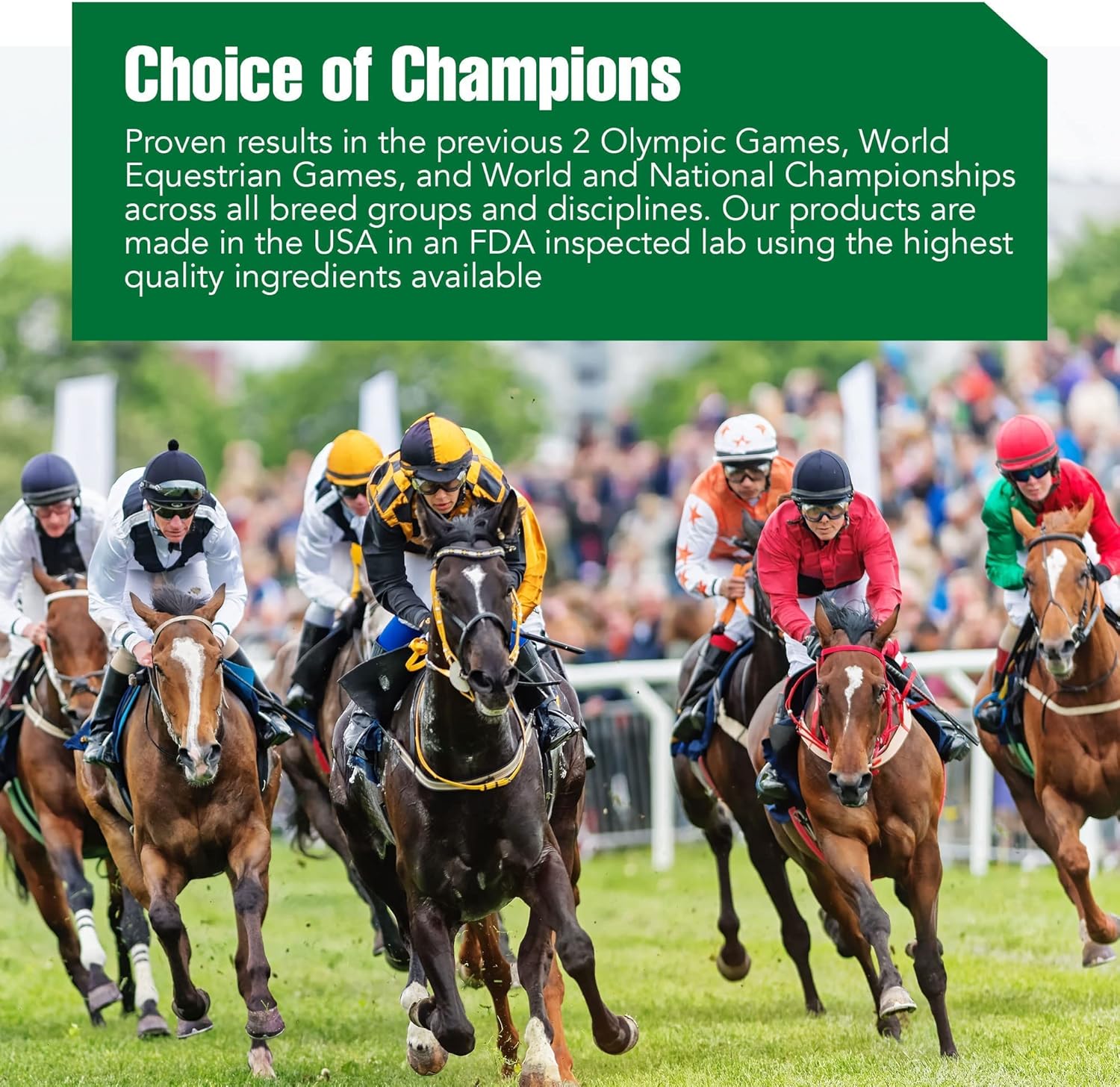 Ramard Total Respiratory & Endurance Syringe for Horses - Equine Vitamins & Supplements with Clairisol & Peppermint Oil - 1/2 oz, 1-Pack