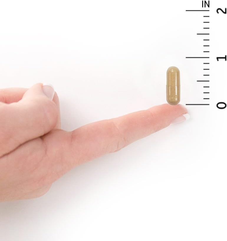 Raw Probiotics Colon Care with 50 Billion CFU for Women and Men - 30 Capsules for Regularity and Immune Health