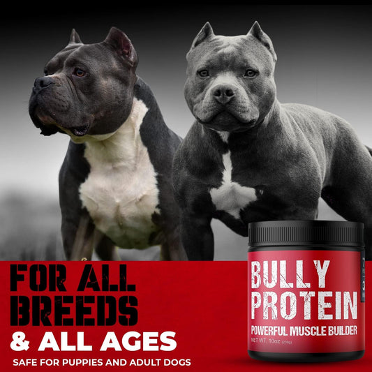 Real Meat Bully Protein Powder for Dogs - Muscle Building Supplement - 283mg Pure Protein - Pitbull Muscle Bulker - 30 Day Supply