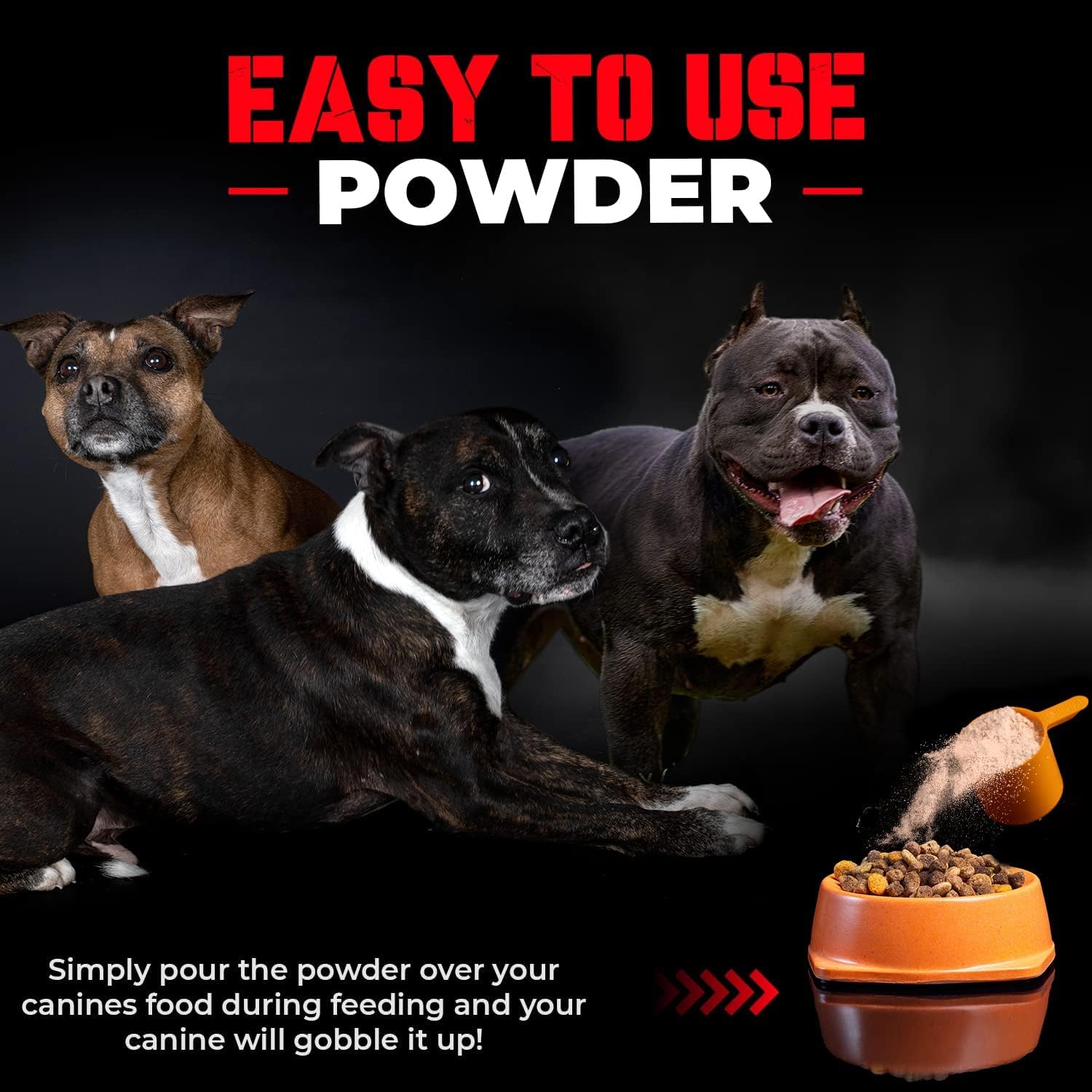 Real Meat Bully Protein Powder for Dogs - Muscle Building Supplement - 283mg Pure Protein - Pitbull Muscle Bulker - 30 Day Supply