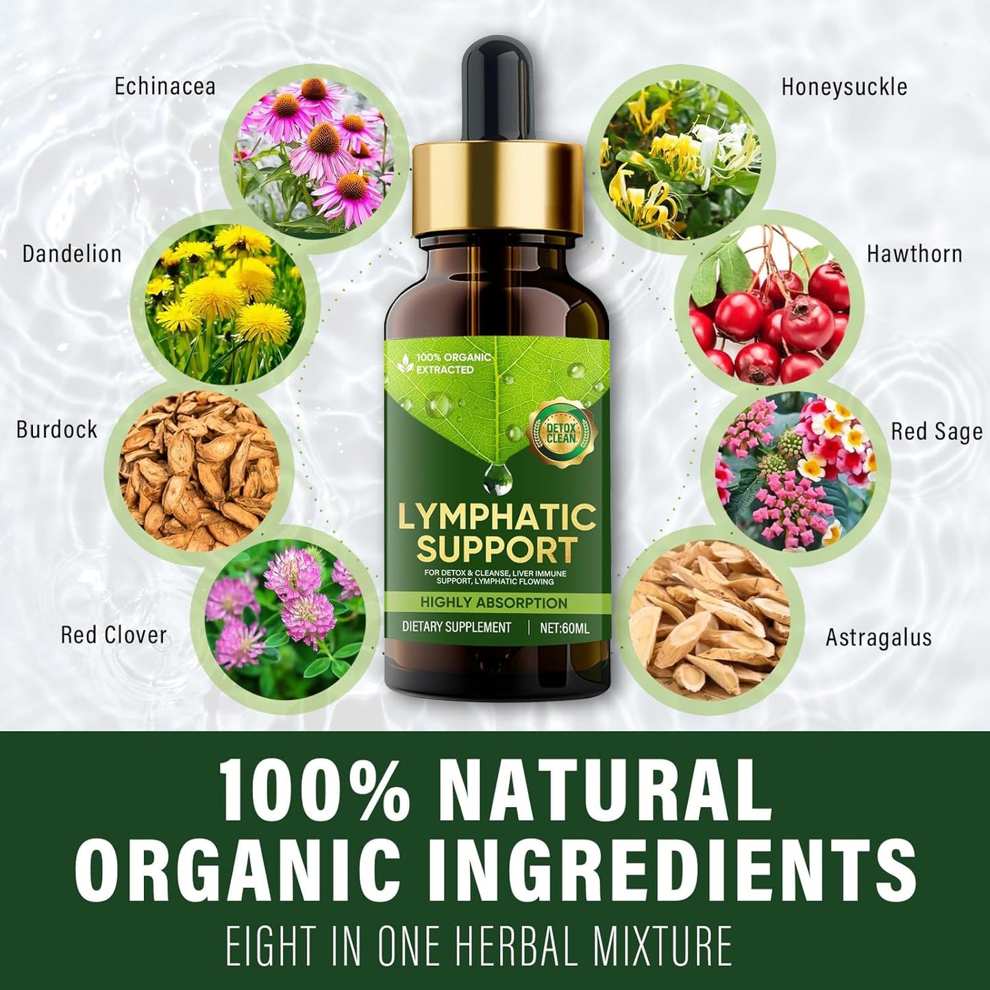 Red Clover Lymphatic Drainage Drops for Edema, Liquid Supplement to Support Lymph System, Cleanse and Boost Immune System