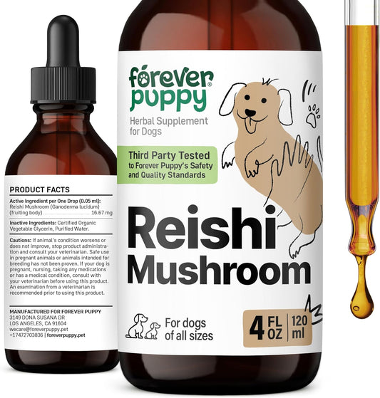 Red Reishi Mushroom Tincture for Dogs - Immune Support Supplement - Liquid Vitamins - All Breeds & Sizes - Sugar & Alcohol-Free