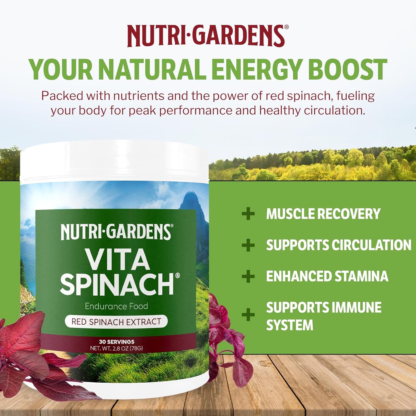 Red Spinach Extract Powder - Nitric Oxide Booster for Blood Pressure, Energy & Endurance - Natural Superfood Supplement for Pre Workout Performance - 30 Servings