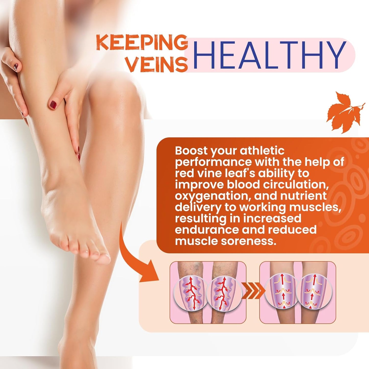 Red Vine Leaf & Horse Chestnut Extract Supplements for Vein & Skin Health - 1700mg - Circulation Support for Legs - 1 Pack