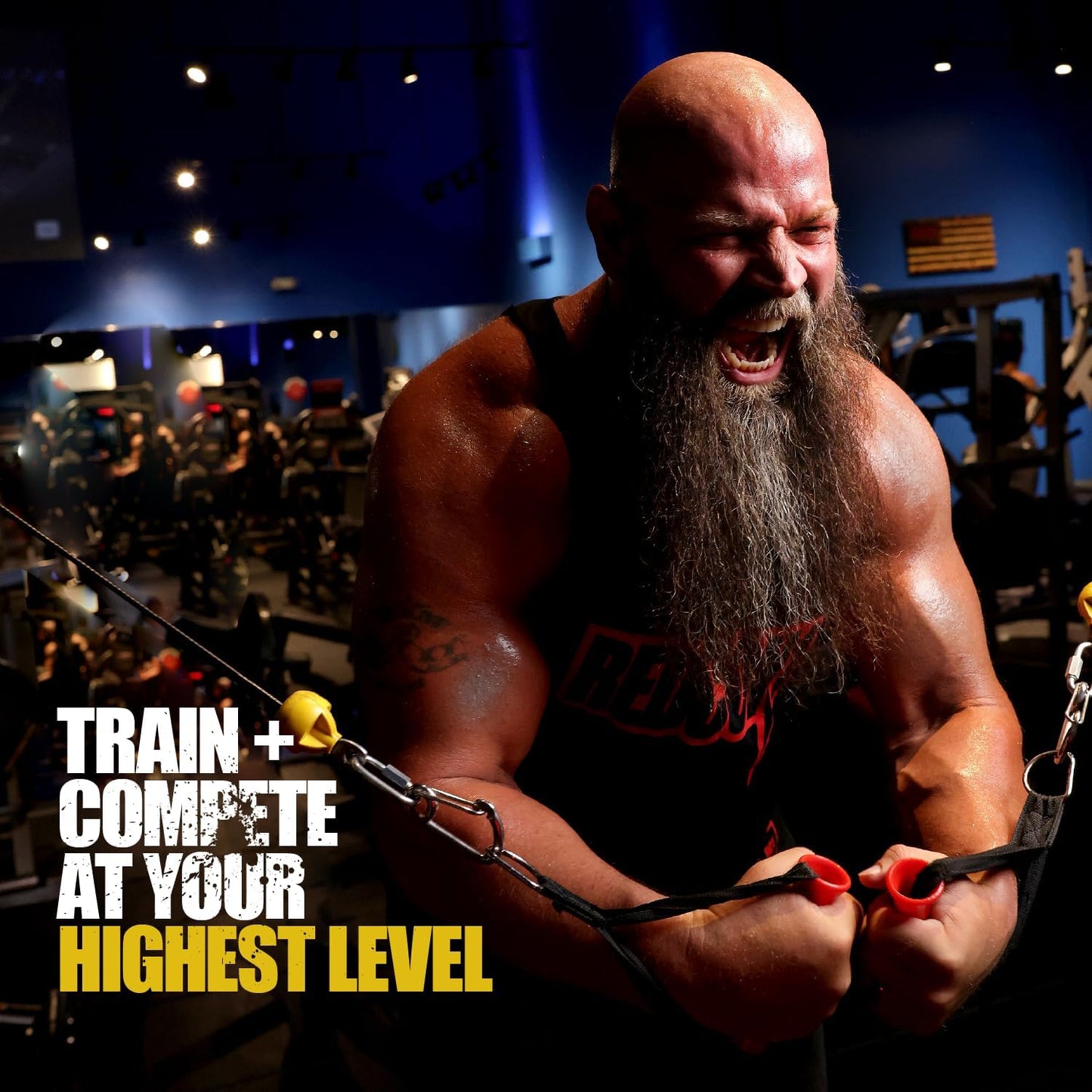 REDCON1 Total War Pre Workout Powder - Sour Gummy Bear Flavor, 50 Servings - Caffeinated Energy Powder with Beta Alanine and L Citrulline for Enhanced Muscular Endurance