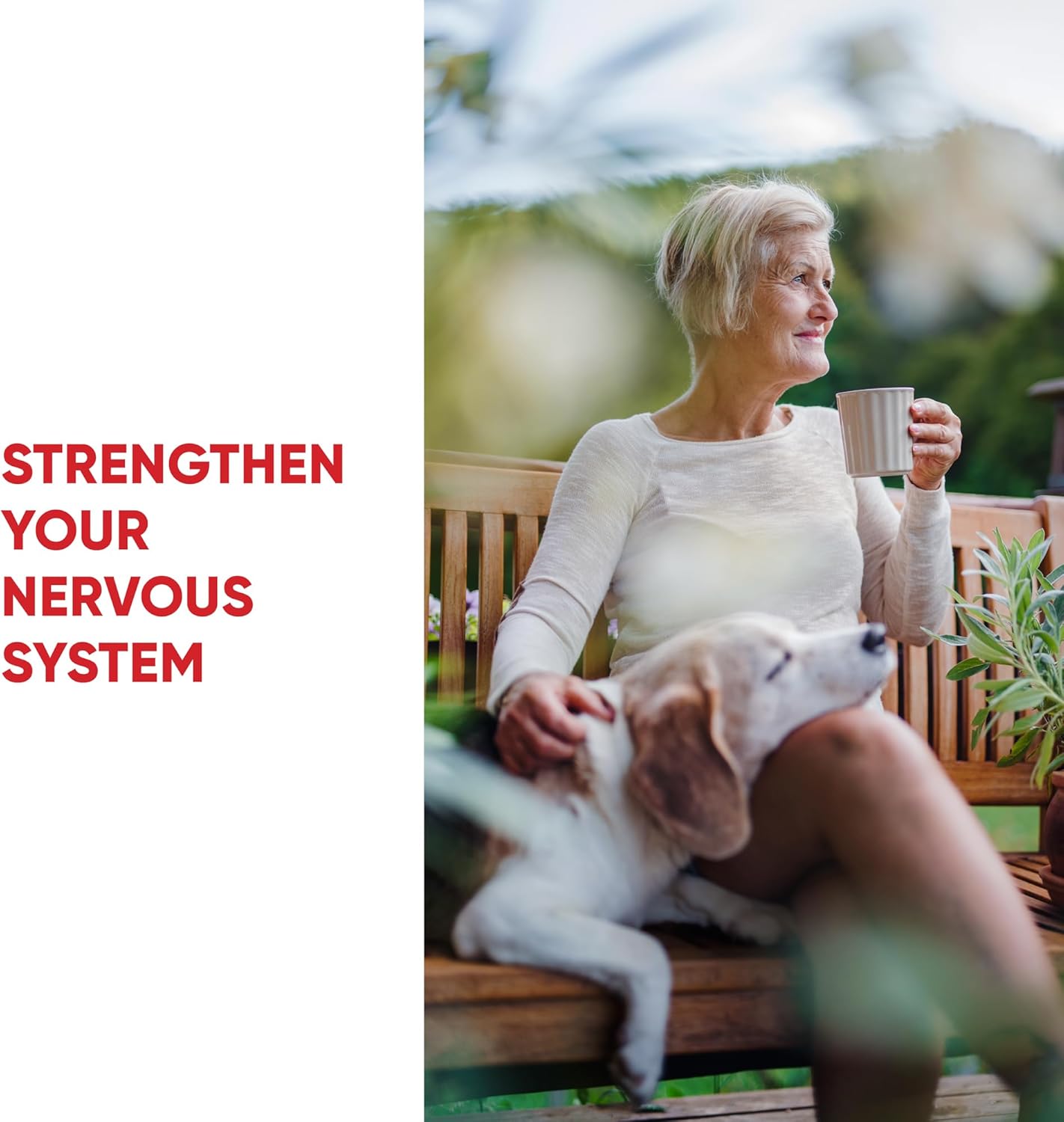 Redd Remedies Nerve Shield: Promotes Healthy Nerve Structure & Circulation - 120 Vegan Capsules