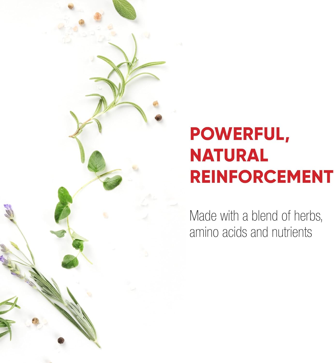 Redd Remedies Nerve Shield: Promotes Healthy Nerve Structure & Circulation - 120 Vegan Capsules