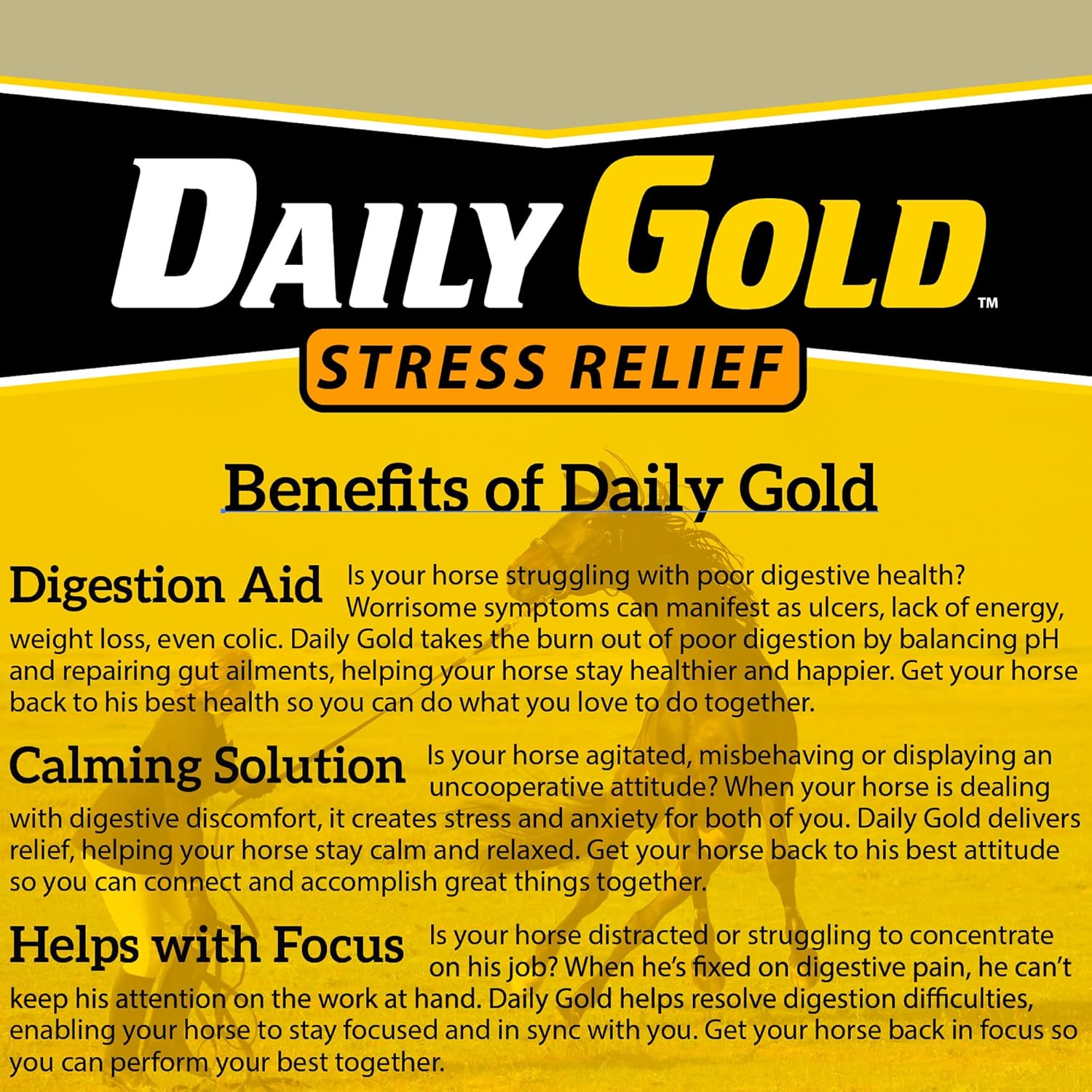 Redmond Daily Gold Natural Healing Clay Paste for Gastric Ulcers in Horses - Stress Relief Formula - Pack of 3