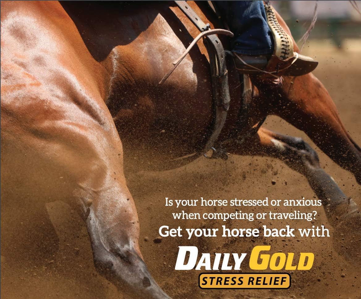Redmond Daily Gold Natural Healing Clay Paste for Gastric Ulcers in Horses - Stress Relief Formula - Pack of 3