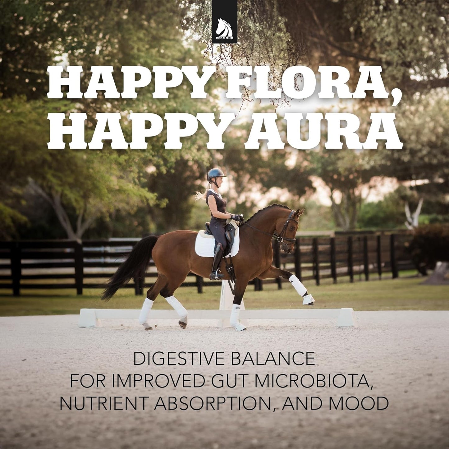 REDMOND Daily Gold Stress Relief for Horses - Natural Digestive & Ulcer Supplement