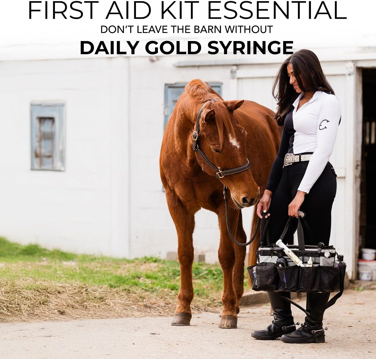 REDMOND Daily Gold Syringe - Natural Healing Clay for Horse Gastric Ulcers, Stress Relief Pre-Race Paste - Single Pack