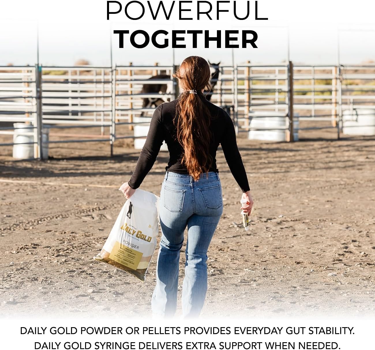 REDMOND Daily Gold Syringe - Natural Healing Clay for Horse Gastric Ulcers, Stress Relief Pre-Race Paste - Single Pack