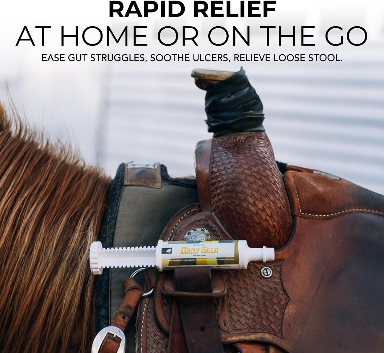 REDMOND Daily Gold Syringe - Natural Healing Clay for Horse Gastric Ulcers, Stress Relief Pre-Race Paste - Single Pack