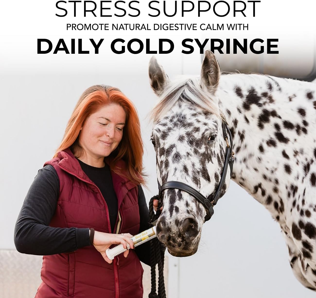 REDMOND Daily Gold Syringe - Natural Healing Clay for Horse Gastric Ulcers, Stress Relief Pre-Race Paste - Single Pack