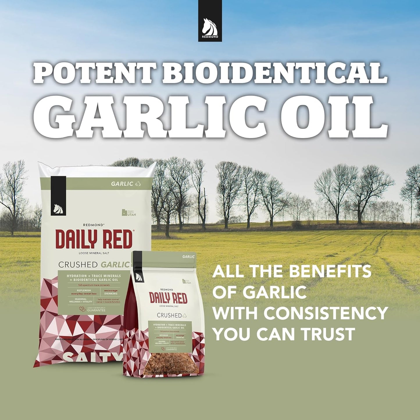 Redmond Daily Red Crushed Garlic for Horses - Mineral and Vitamin Supplement