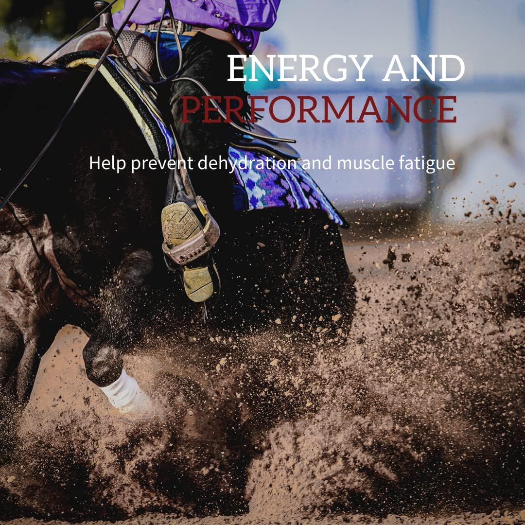 Redmond Horse Electrolyte Paste | Essential Electrolytes for Equine Health