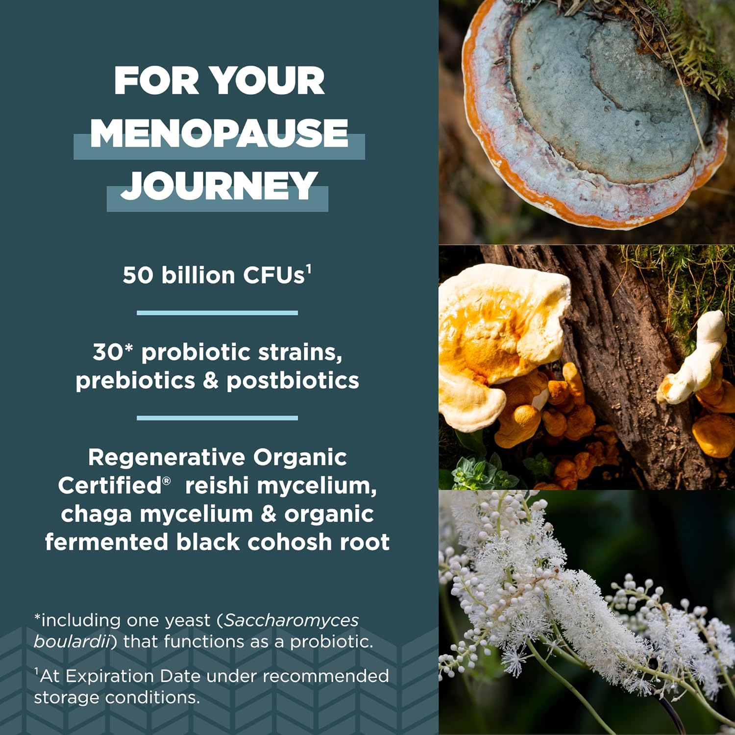 Regenerative Organic Certified Probiotics for Menopause Support - 60 Count, 50 Billion CFUs, Digestive & Women’s Health Support