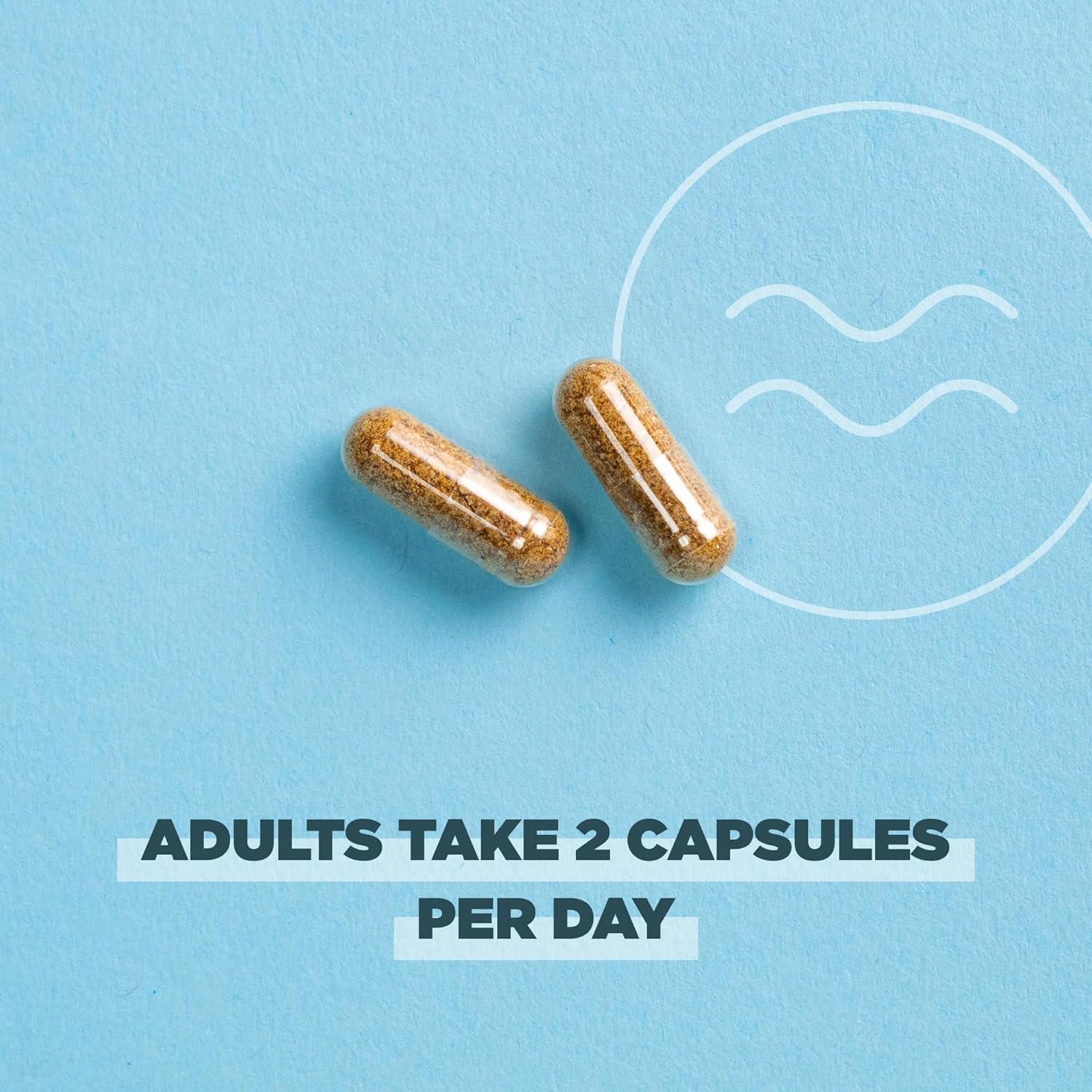 Regenerative Organic Certified Probiotics for Menopause Support - 60 Count, 50 Billion CFUs, Digestive & Women’s Health Support