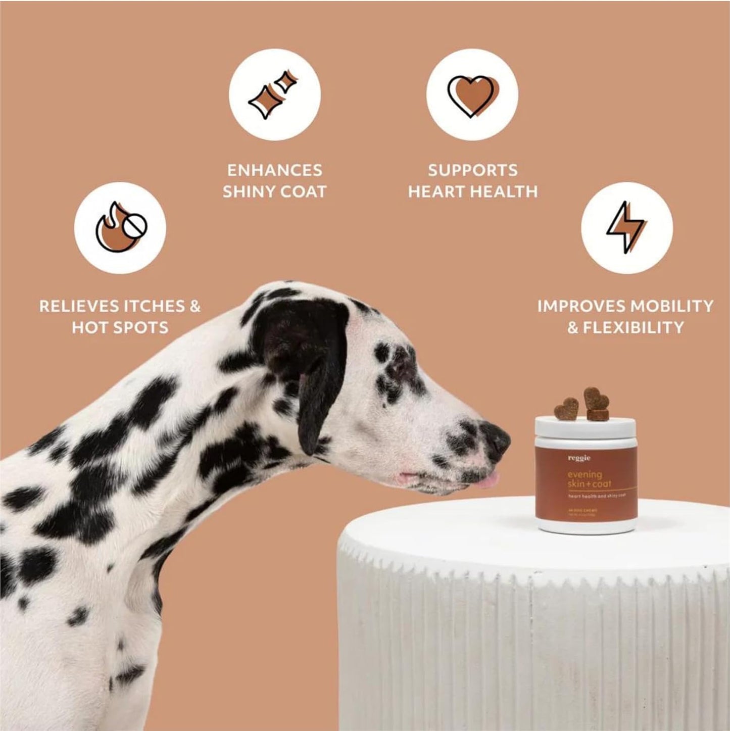 Reggie Evening Skin and Coat Supplements - Ideal for Dogs of All Ages, Breeds, and Sizes - Relieves Itchy/Dry/Flaky Skin & Shedding - 60 Soft Chews - Made in USA