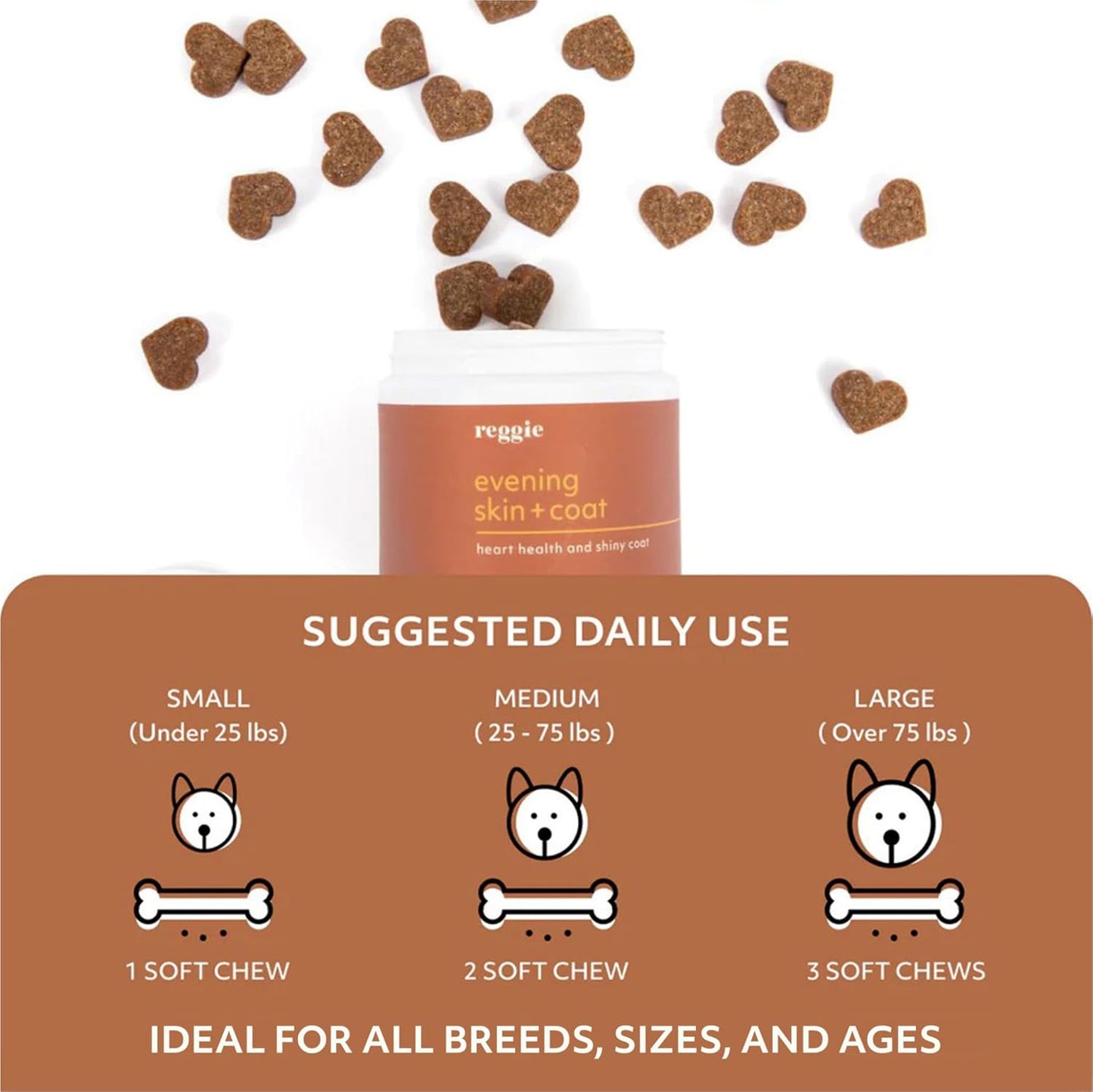 Reggie Evening Skin and Coat Supplements - Ideal for Dogs of All Ages, Breeds, and Sizes - Relieves Itchy/Dry/Flaky Skin & Shedding - 60 Soft Chews - Made in USA