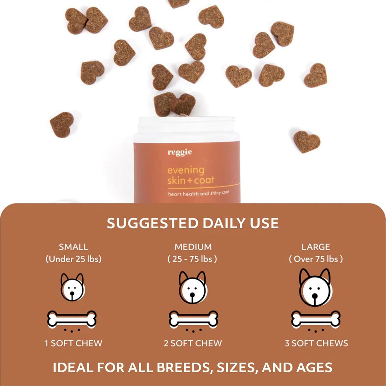 Reggie Evening Skin and Coat Supplements - Ideal for Dogs of All Ages, Breeds, and Sizes - Relieves Itchy/Dry/Flaky Skin & Shedding - 60 Soft Chews - Made in USA