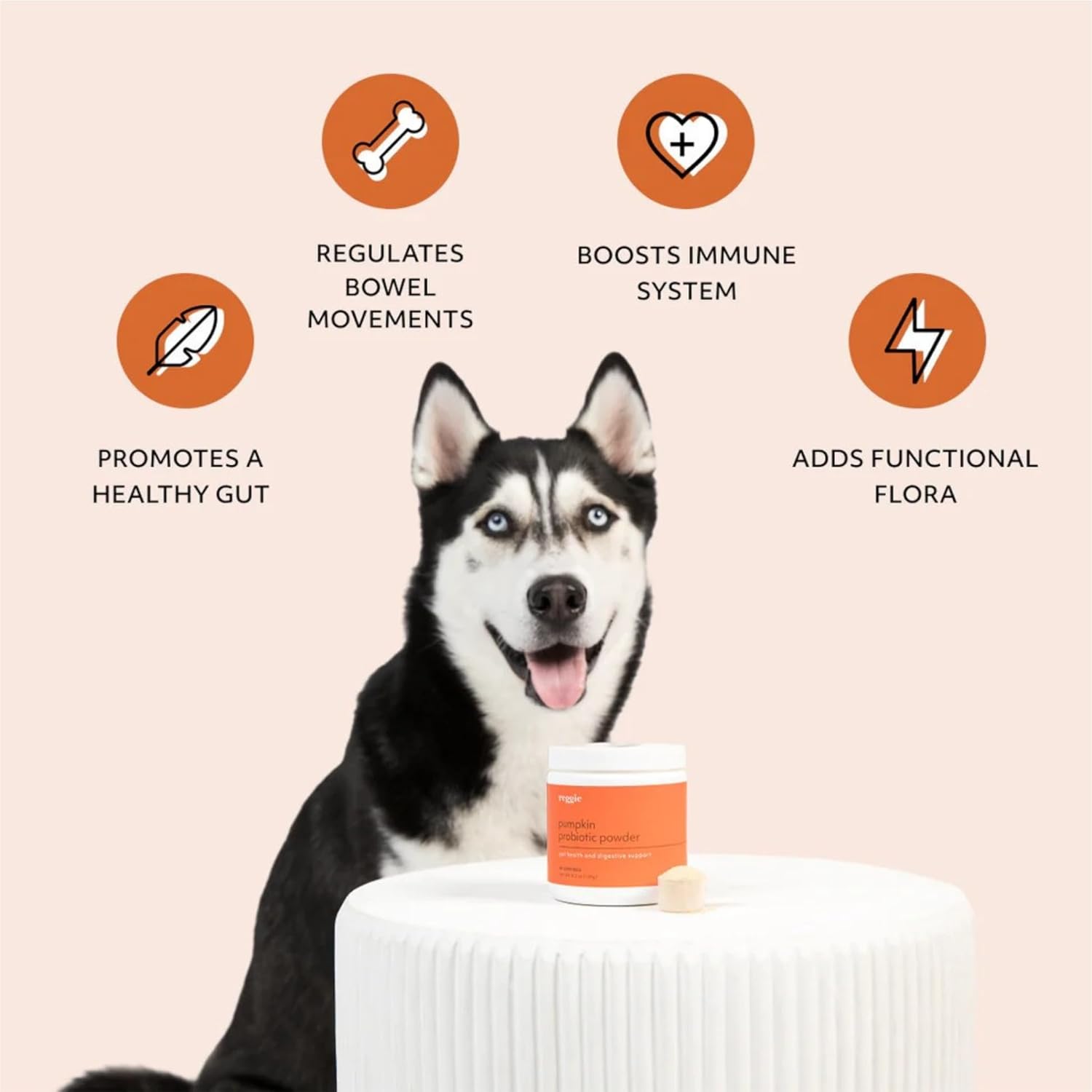 Reggie Pumpkin Probiotic Powder for Dogs | Improves Gut Health, Digestion, and Nutrient Absorption | Vet-Approved, All Ages & Breeds - 40 Scoops