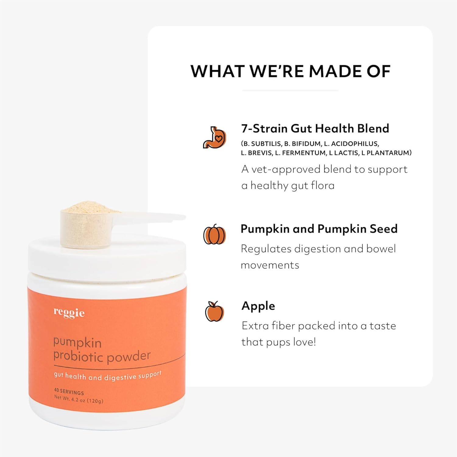 Reggie Pumpkin Probiotic Powder for Dogs | Improves Gut Health, Digestion, and Nutrient Absorption | Vet-Approved, All Ages & Breeds - 40 Scoops