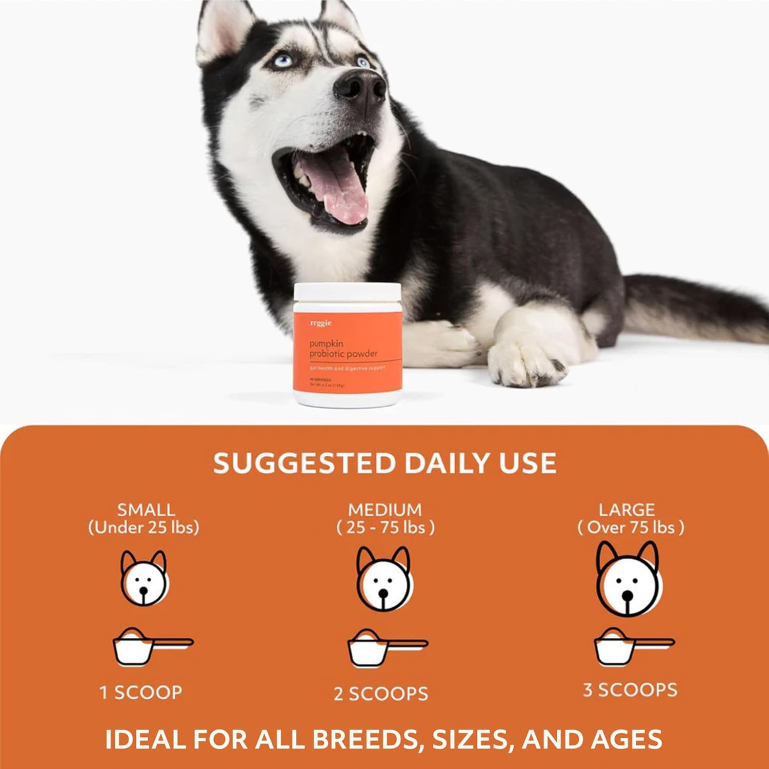 Reggie Pumpkin Probiotic Powder for Dogs | Improves Gut Health, Digestion, and Nutrient Absorption | Vet-Approved, All Ages & Breeds - 40 Scoops