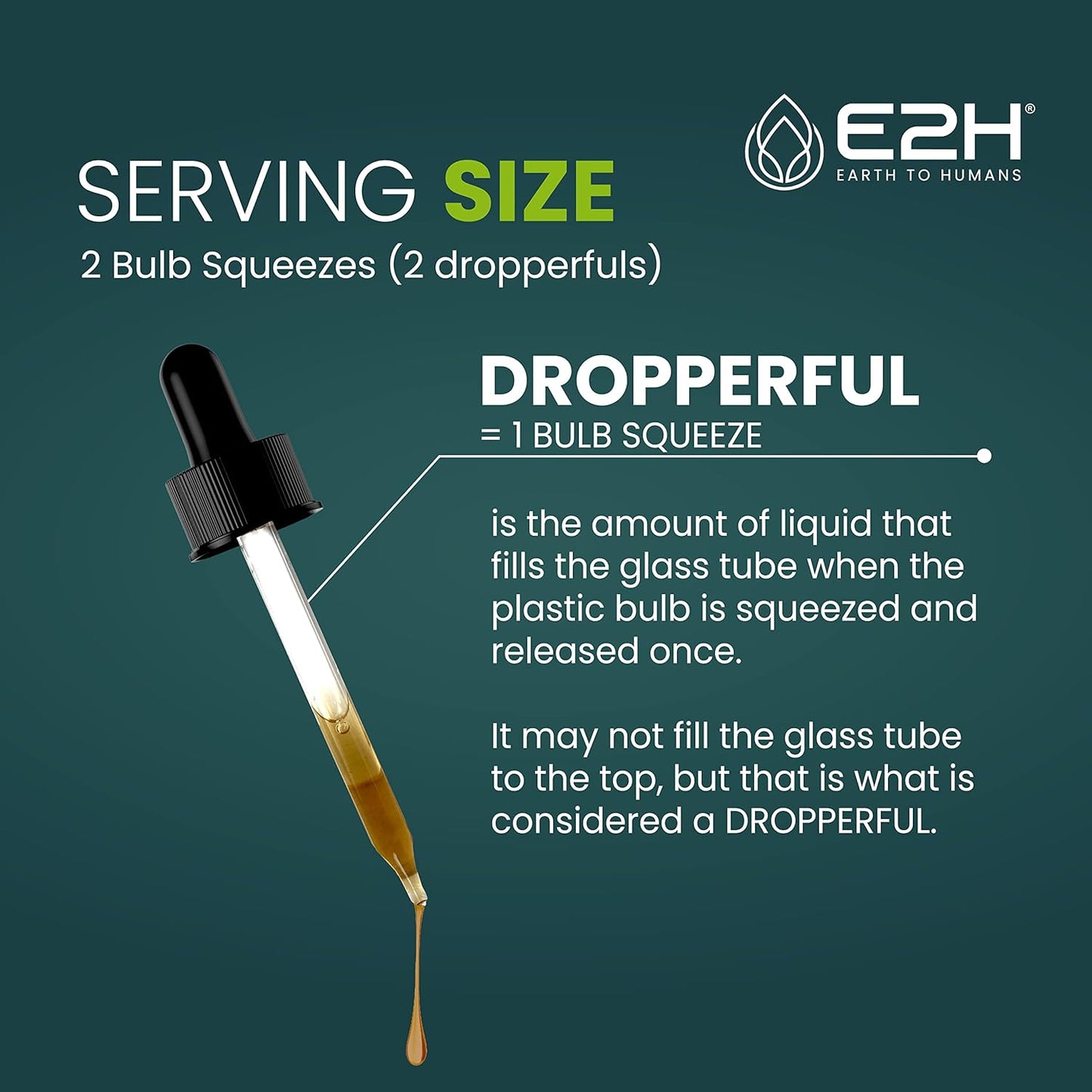 Reishi & Cordyceps Extracts for Energy, Longevity, Stamina & Immune Support - Non-GMO, Vegan - 2oz Bottles (4oz Total)