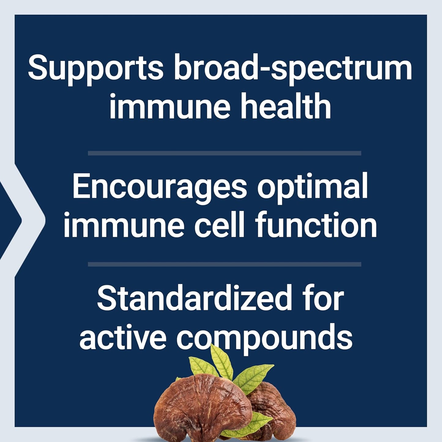 Reishi Mushroom Complex Supplement for Immune Support - Ganoderma Lucidum Extract - Gluten-Free, Non-GMO, Vegetarian - 60 Capsules for Life Extension