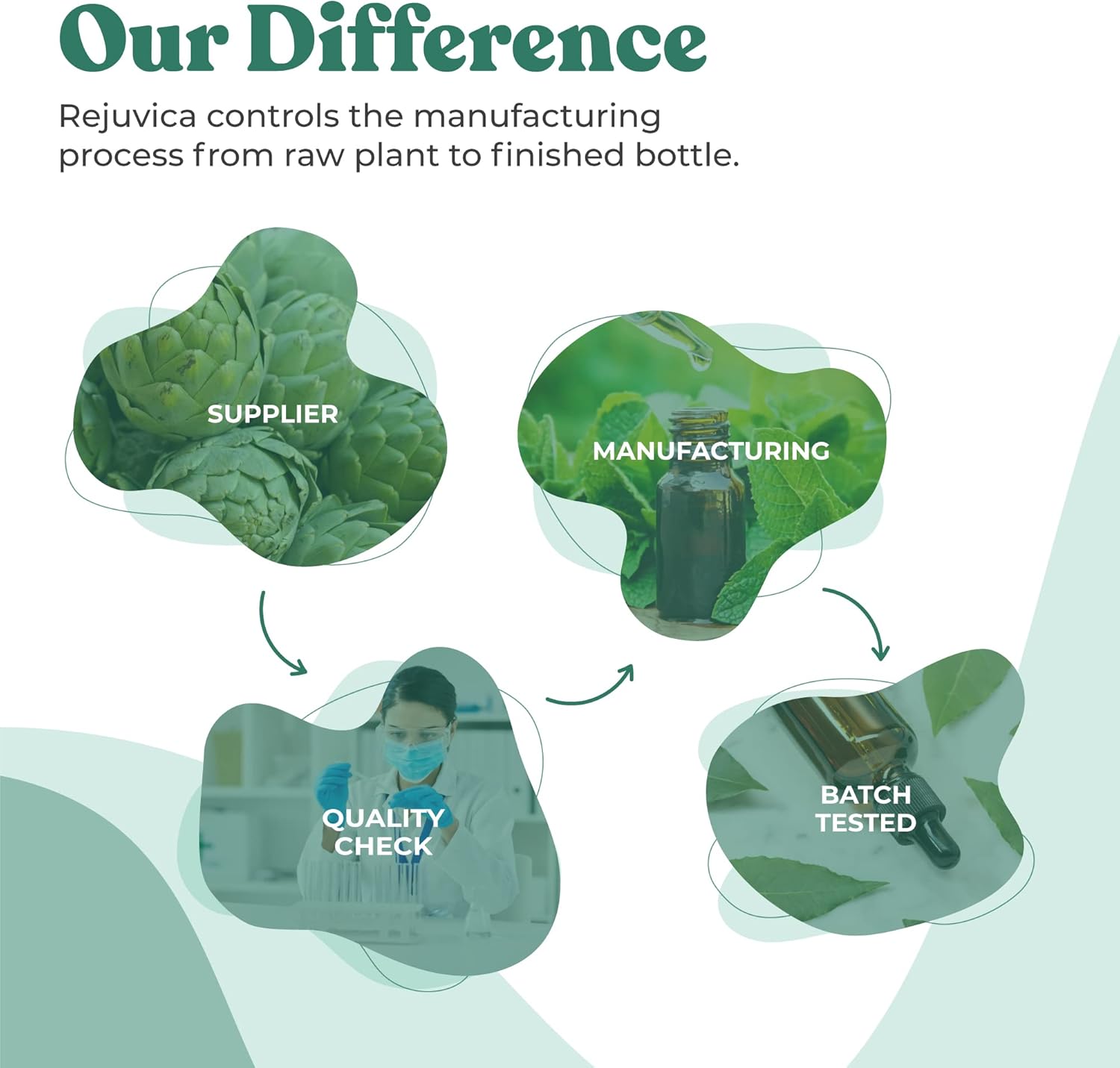 Rejuvica Health Active Adrenal Support Tincture - Liquid Formula with Ashwagandha, B-Vitamins, Magnesium - Boosts Absorption and Energy