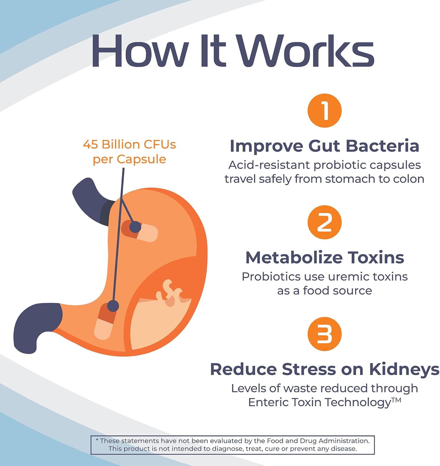 Renadyl Kidney Probiotic Supplement | Supports Urea, Creatinine, & Uric Acid | 45 Billion CFUs | Clinical Tested, Non-GMO | 60 Capsules, Made in USA