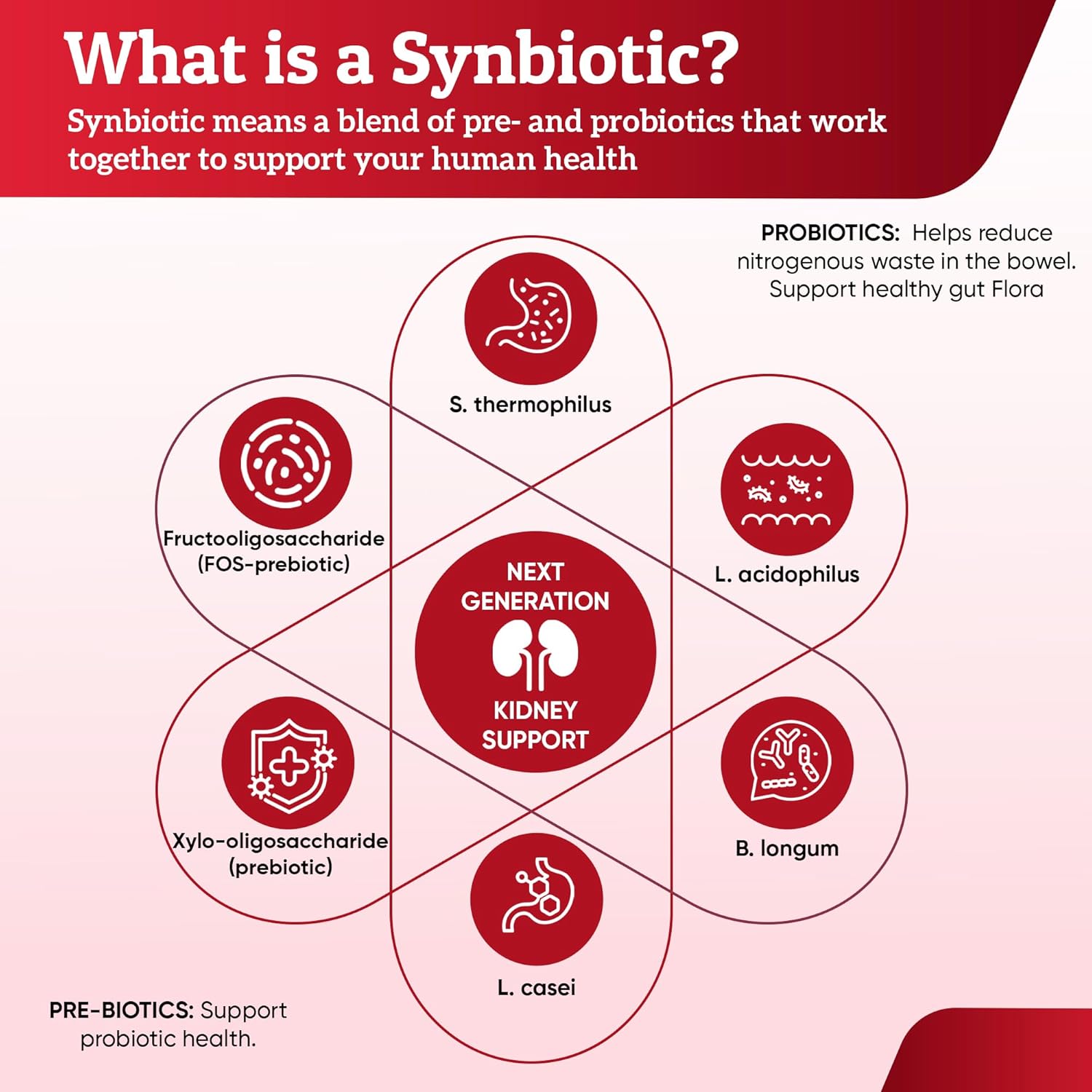 Renamax Kidney Restore Supplement - Probiotic & Prebiotic Support for Healthy Kidney Function - 50 Billion CFU - Made in USA - 270 Capsules (3 Pack)