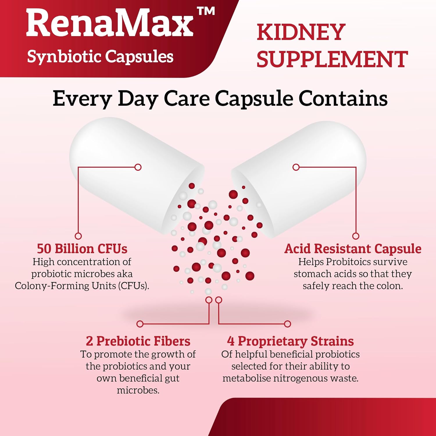 Renamax Kidney Restore Supplement - Probiotic & Prebiotic Support for Healthy Kidney Function - 50 Billion CFU - Made in USA - 270 Capsules (3 Pack)