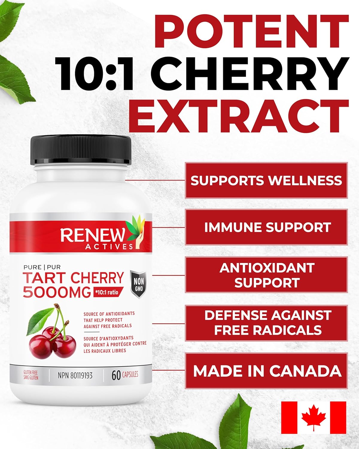 Renew Actives Tart Cherry Extract Capsules - 10,000mg per Serving - Antioxidant Supplement for Wellness - 60 Capsules - Made in Canada