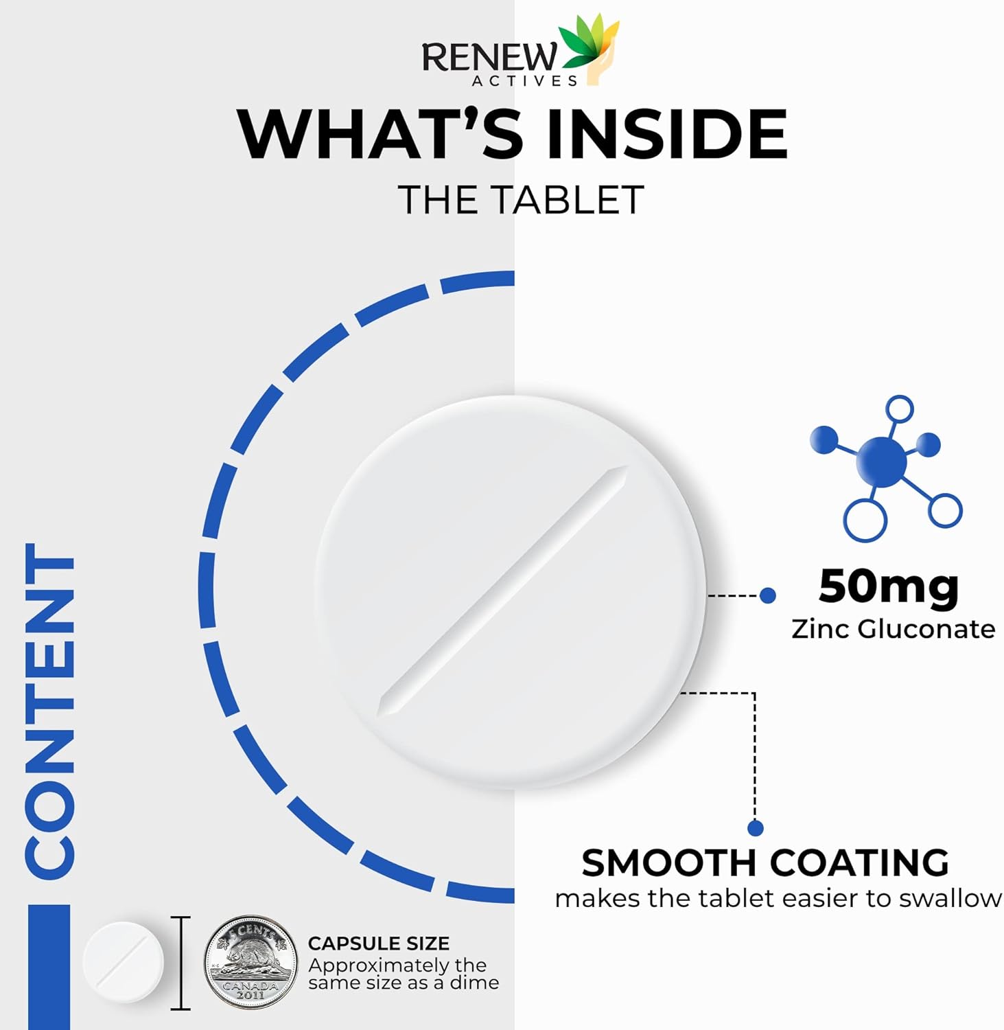 Renew Actives Zinc Supplements: Supports Immune Health, Strong Bones, Hair, Nails, & Skin - Easy-to-Swallow Daily Tablets - 250 Count