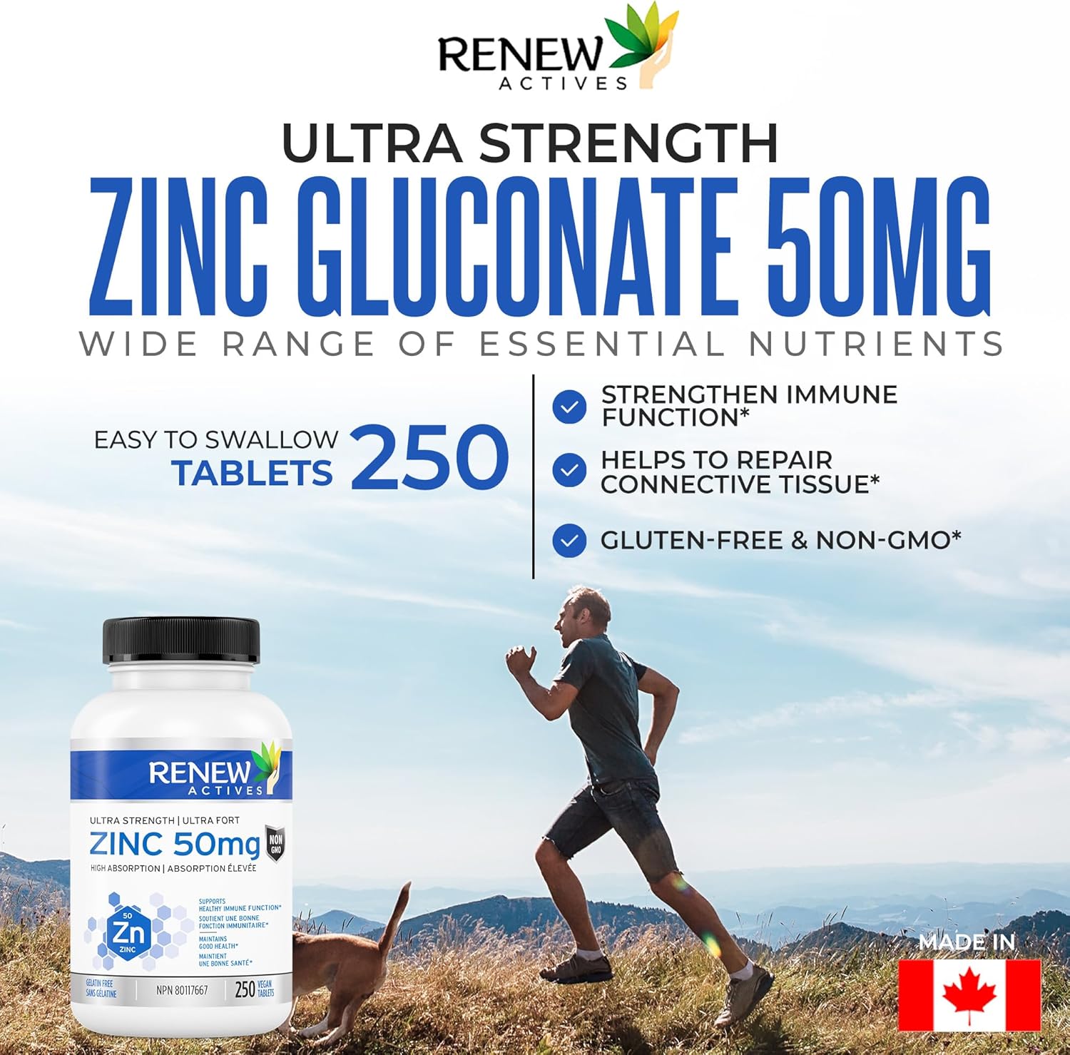 Renew Actives Zinc Supplements: Supports Immune Health, Strong Bones, Hair, Nails, & Skin - Easy-to-Swallow Daily Tablets - 250 Count