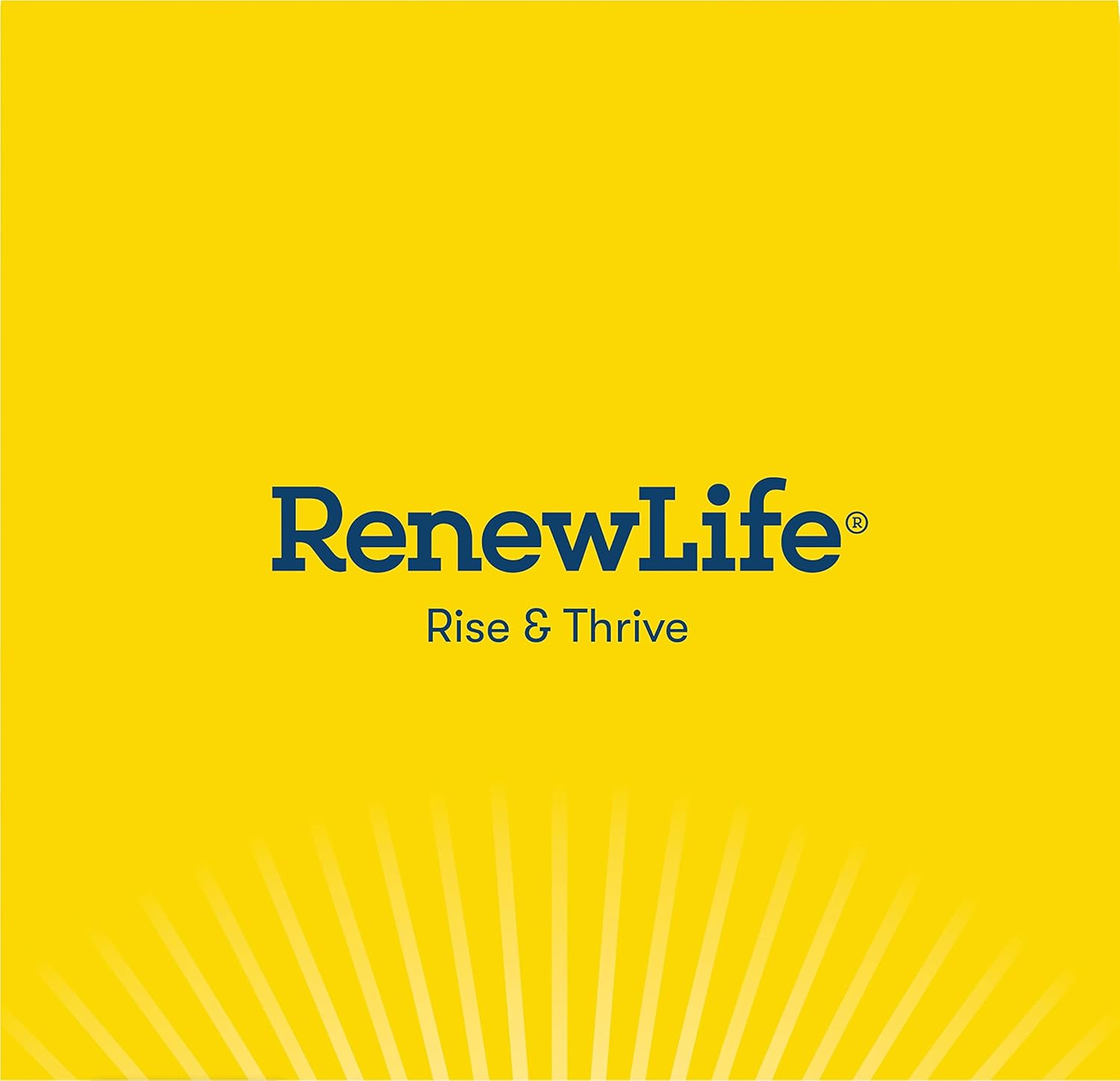 Renew Life Everyday Probiotic Capsules - Supports Urinary, Digestive, and Immune Health - L. Rhamnosus GG - Dairy, Soy, and Gluten-Free - 15 Billion CFU - 30 Count